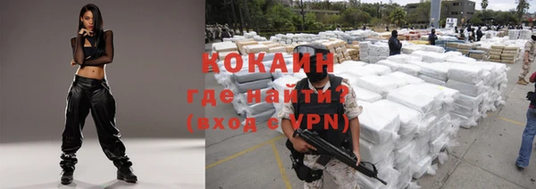 прущие грибы Армянск