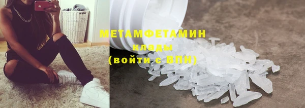 прущие грибы Армянск