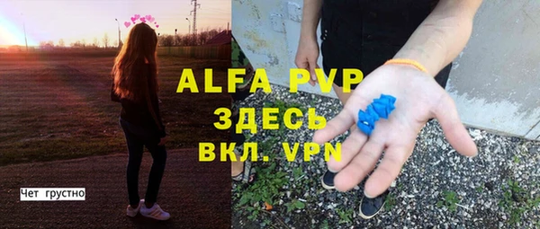 прущие грибы Армянск