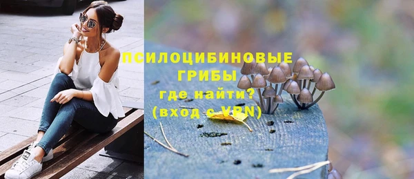прущие грибы Армянск