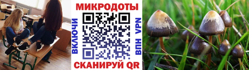 купить наркотики цена Новочеркасск Псилоцибиновые грибы мицелий