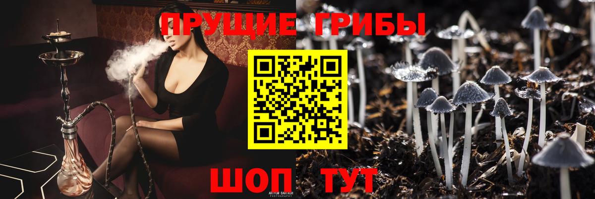 Новочеркасск  Галлюциногенные грибы Psilocybe  Вход с VPN 